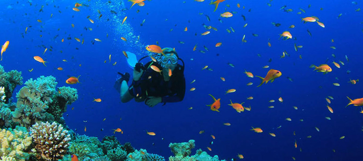 Diving in Sri Lanka