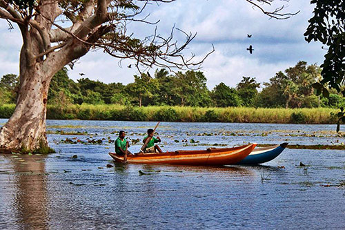 Diving in Sri Lanka