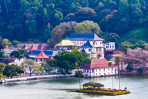 Diving in Sri Lanka