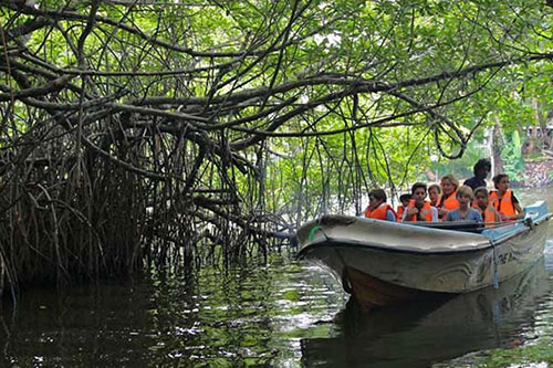 Diving in Sri Lanka