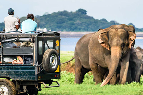 Diving in Sri Lanka