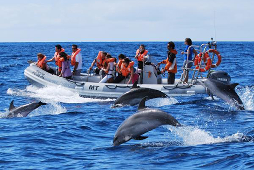 Sri Lanka Tourism